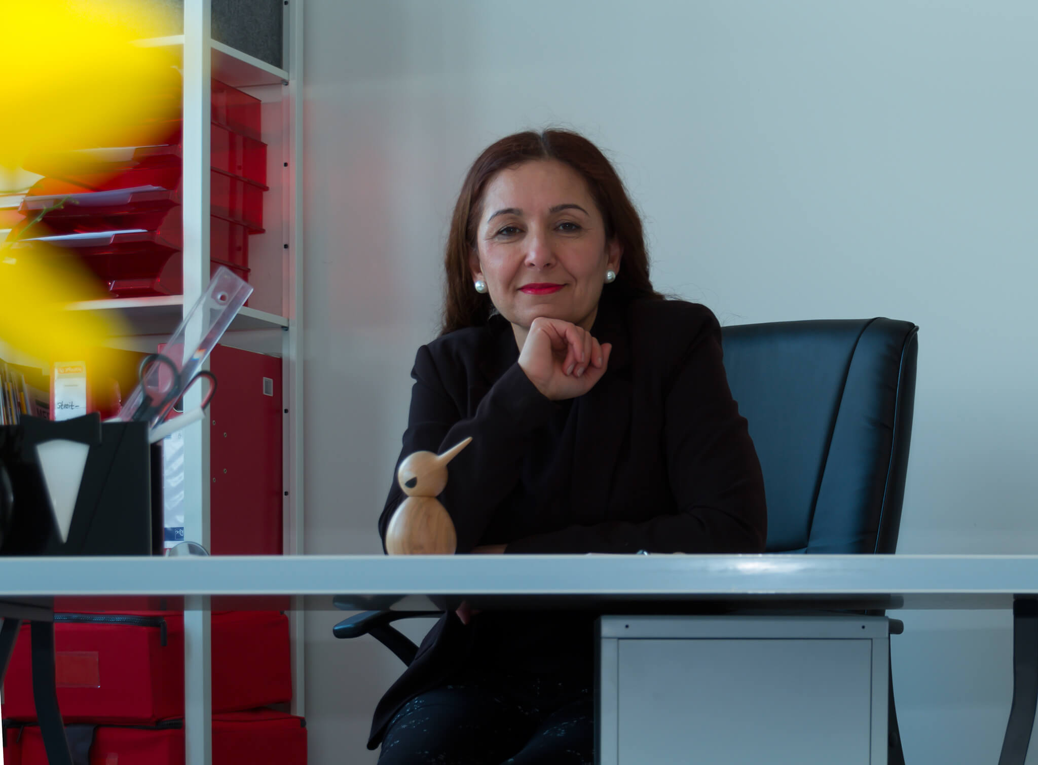 Sosan Azad, Streit Entknoten, Mediation in Berlin