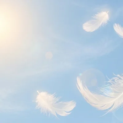 Federn fliegen im Himmel mit Sonnenstrahlen